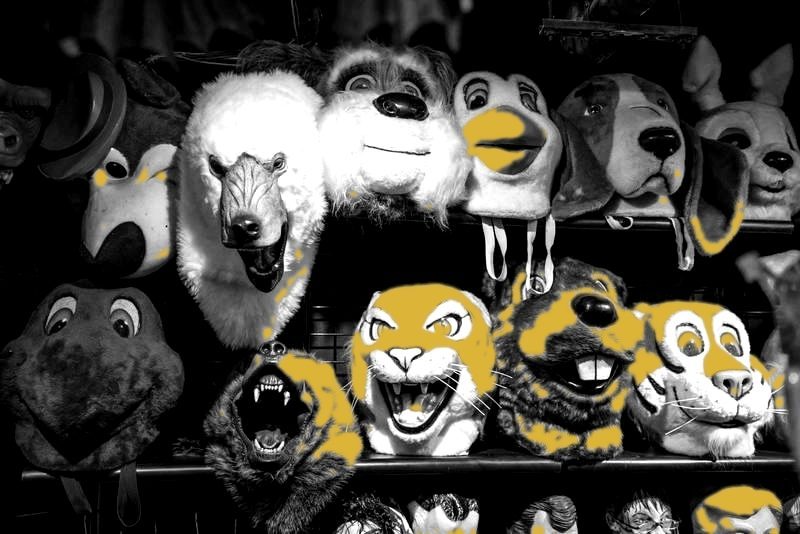 Mascot Costumes cleaning Pittsburgh Wash